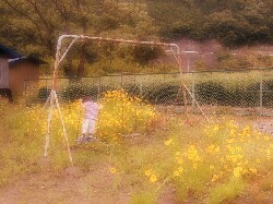 子供